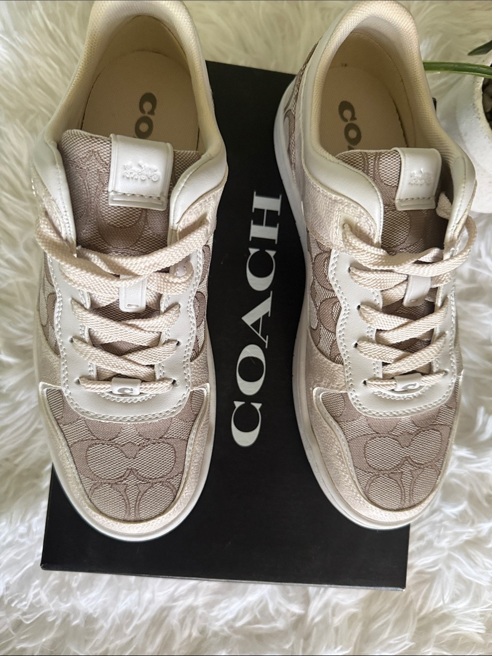 Coach Kids Logo-Print Sneakers in Beige and Cream - Picture 3 of 8